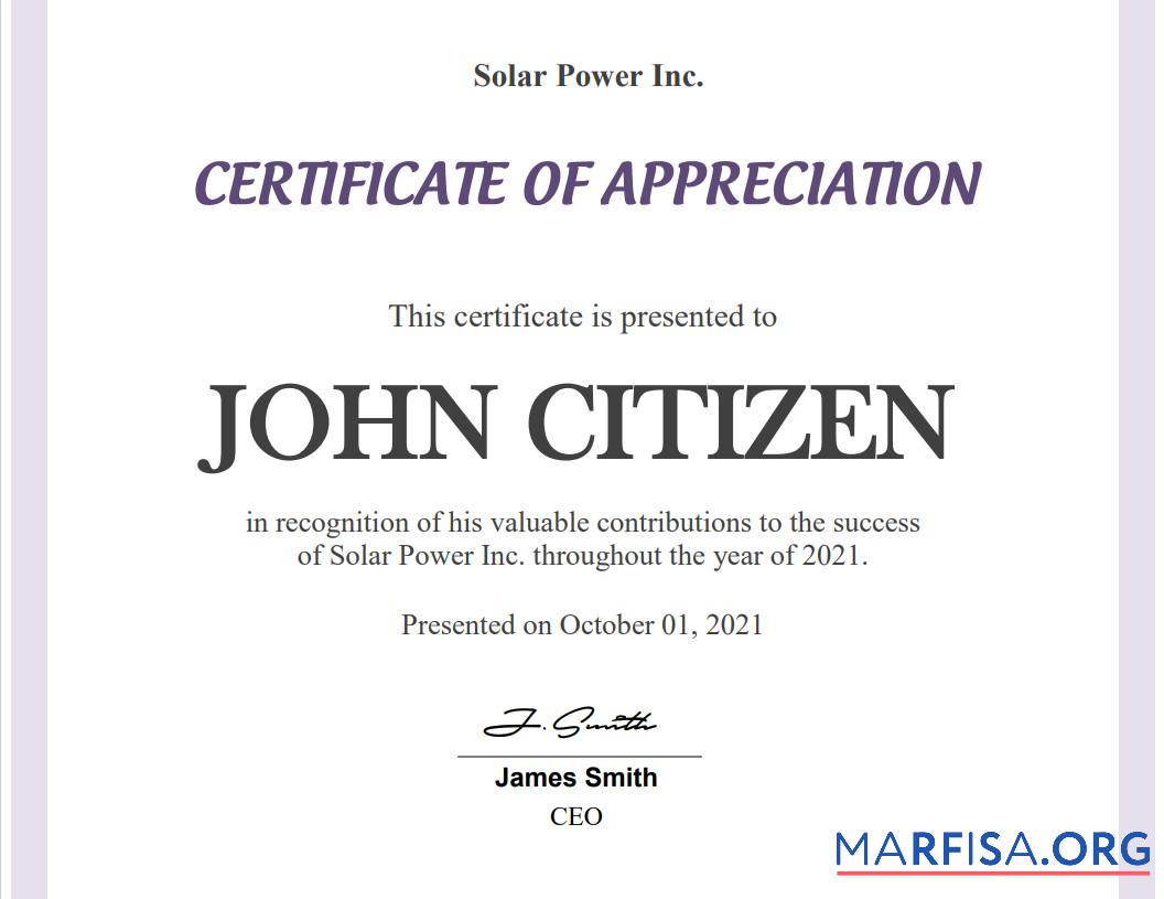 Printable USA Employee Appreciation cert example